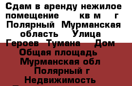 Сдам в аренду нежилое помещение 43,9 кв.м.  (г. Полярный, Мурманская область) › Улица ­ Героев “Тумана“ › Дом ­ 5 › Общая площадь ­ 43 - Мурманская обл., Полярный г. Недвижимость » Помещения аренда   